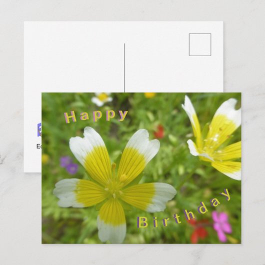 Wilde Bloemen: Witte Gele Gelukkige Verjaardag Ans Briefkaart (Voorkant / Achterkant)
