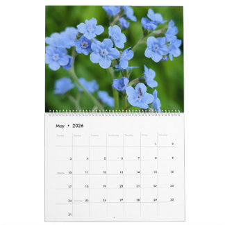 Wilde Bloemen Wonderen – Een Jaar van Natuurlijke Kalender