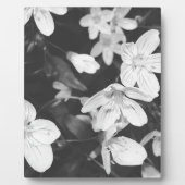 Wilde bloemen zwart en wit fotoplaat (Voorkant)