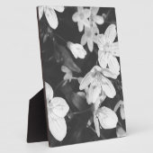 Wilde bloemen zwart en wit fotoplaat (Zijkant)