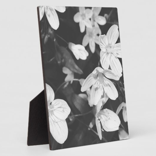 Wilde bloemen zwart en wit fotoplaat (Zijkant)