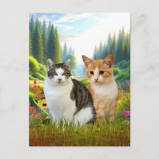Wilde bloemenweide met katten briefkaart (Voorkant)
