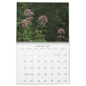 Wilde bloemfavorieten #1 Kalender (Jan 2027)