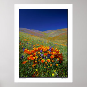Wilde bloemheuvels poster