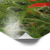 Wilde bloemkust foto afdruk (Hoek)