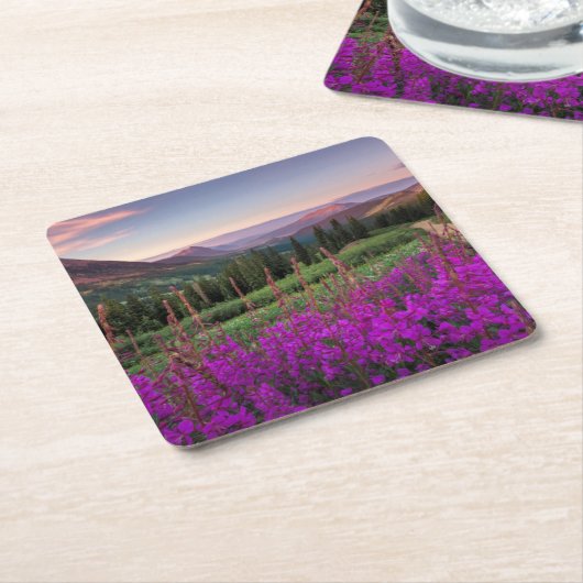 Wilde bloempitten | Gekreste Butte, Colorado Kartonnen Onderzetters (Schuin)