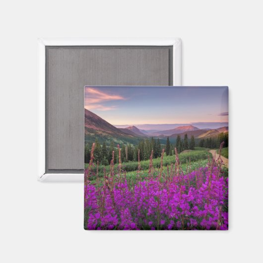 Wilde bloempitten | Gekreste Butte, Colorado Magneet (Voorkant / Achterkant)