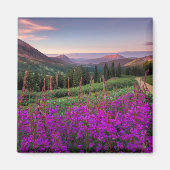 Wilde bloempitten | Gekreste Butte, Colorado Magneet (Voorkant)