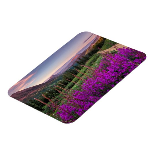 Wilde bloempitten | Gekreste Butte, Colorado Magneet