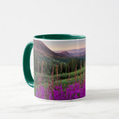 Wilde bloempitten | Gekreste Butte, Colorado Mok (Voorkant links)