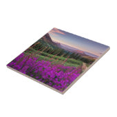 Wilde bloempitten | Gekreste Butte, Colorado Tegeltje (Zijkant)