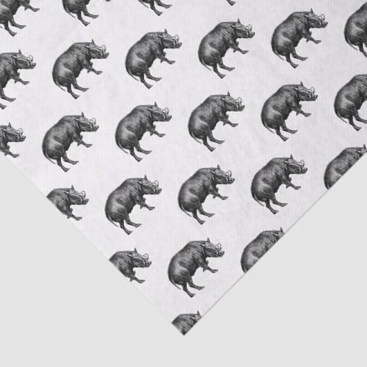  Wilde Boar Tekening BW Tissuepapier (Detail)