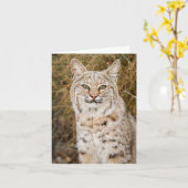 Wilde Bobcat Kaart (Gele Bloem)
