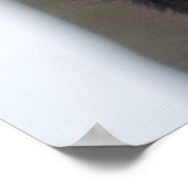 Wilde boer in sneeuw poster (Hoek)