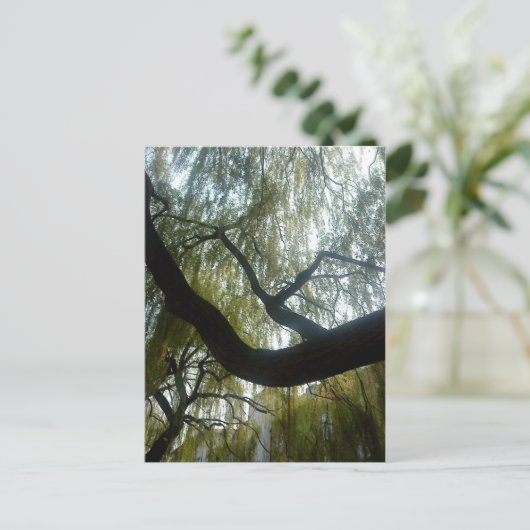 Wilde boom briefkaart (Staand voorkant)