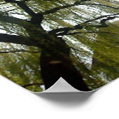 Wilde boom poster (Hoek)