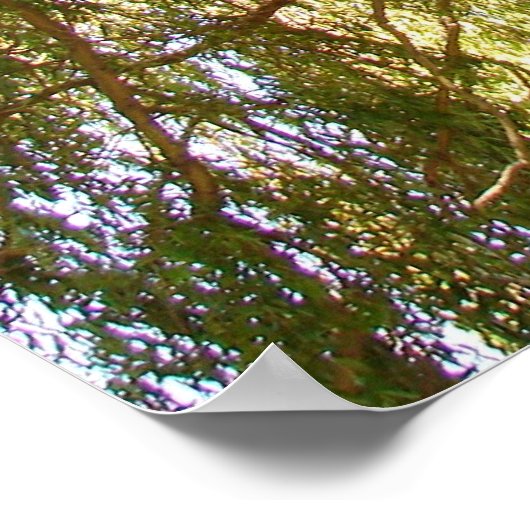 Wilde boom poster (Hoek)