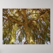 Wilde boom poster (Voorkant)