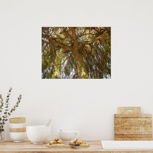 Wilde boom poster (Keuken)