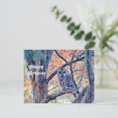 Wilde boomgaarden Wildlife Barred Owl Foto van Bir Briefkaart (Staand voorkant)