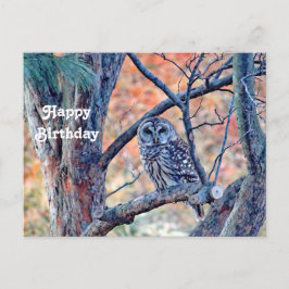 Wilde boomgaarden Wildlife Barred Owl Foto van Bir Briefkaart