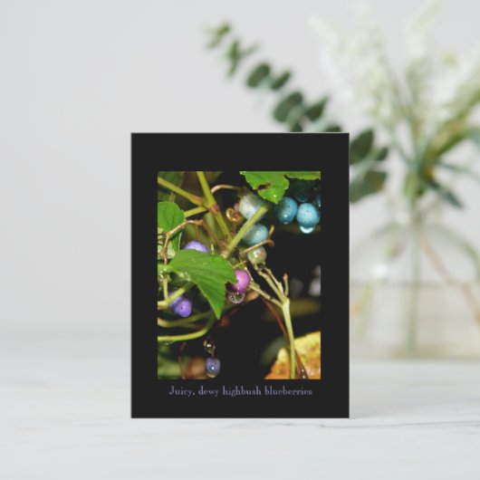 Wilde bosbessen briefkaart (Staand voorkant)