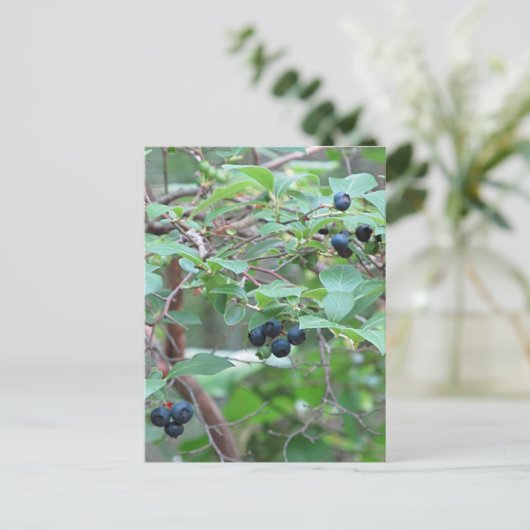 Wilde bosbessen briefkaart (Staand voorkant)
