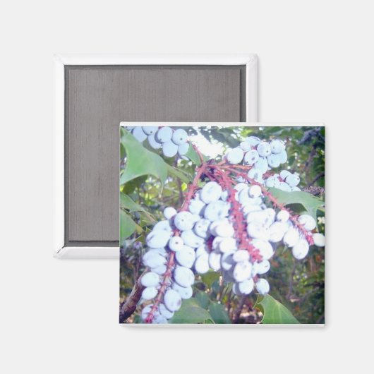 Wilde bosbessen magneet (Voorkant / Achterkant)