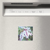 Wilde bosbessen magneet (Insitu (Vaatwasser))