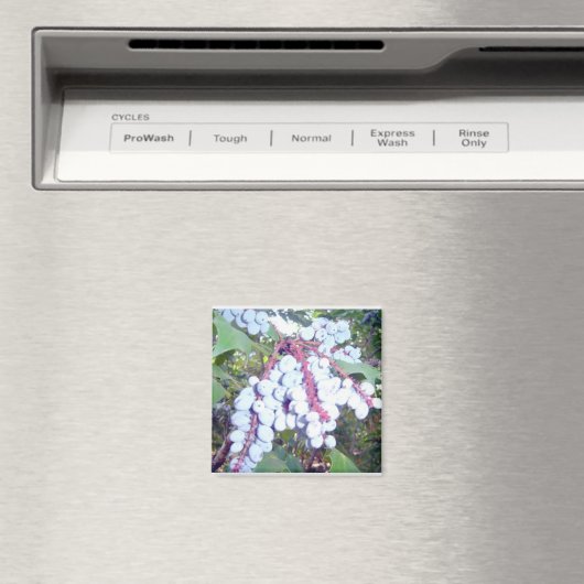 Wilde bosbessen magneet (Insitu (Vaatwasser))