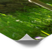 Wilde braaklaag in bossen tussen bomen poster (Hoek)