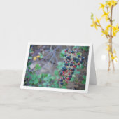 Wilde braambesvruchten kaart (Gele Bloem)