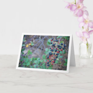 Wilde braambesvruchten kaart