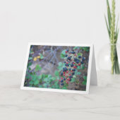 Wilde braambesvruchten kaart (Voorkant)