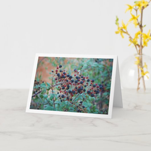 Wilde braambesvruchten kaart (Gele Bloem)