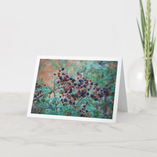 Wilde braambesvruchten kaart (Voorkant)