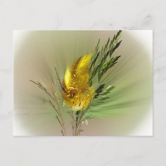 Wilde Briefkaart (Voorkant)