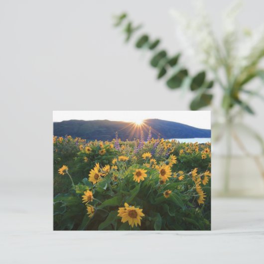 Wilde Briefkaart (Staand voorkant)