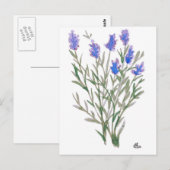 Wilde Briefkaart (Voorkant / Achterkant)