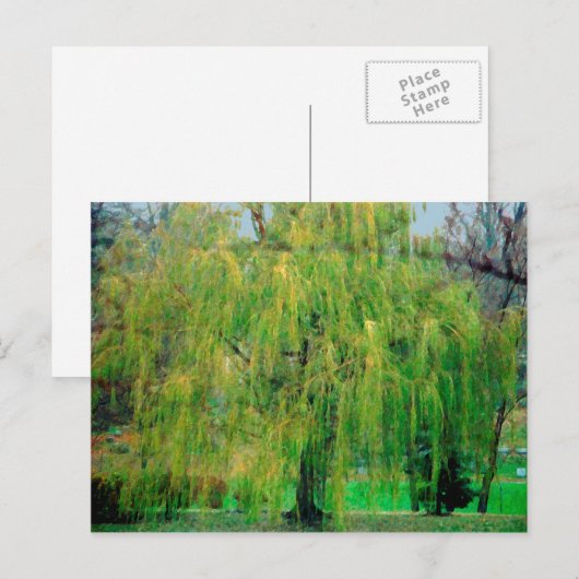 Wilde Briefkaart weiden (Voorkant / Achterkant)