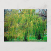 Wilde Briefkaart weiden (Voorkant)