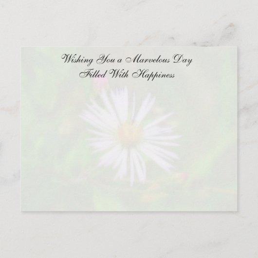 Wilde Briefkaarten (Achterkant)