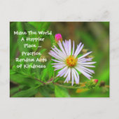 Wilde Briefkaarten (Voorkant)