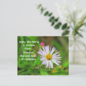 Wilde Briefkaarten (Staand voorkant)