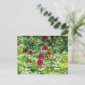 Wilde Briefkaarten - Wildbloemen (Staand voorkant)