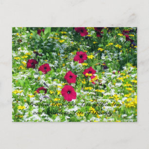 Wilde Briefkaarten - Wildbloemen