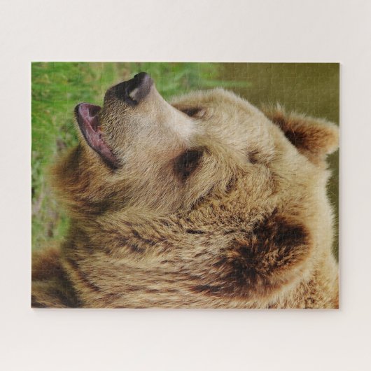 Wilde bruine Beren. Legpuzzel (Horizontaal)