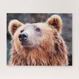Wilde bruine beren. legpuzzel