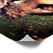 Wilde bruine paddenstoelen in de boomgaard poster (Hoek)