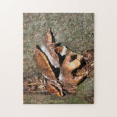 Wilde bruine paddenstoelen in de Natuur van boomsc Legpuzzel (Verticaal)